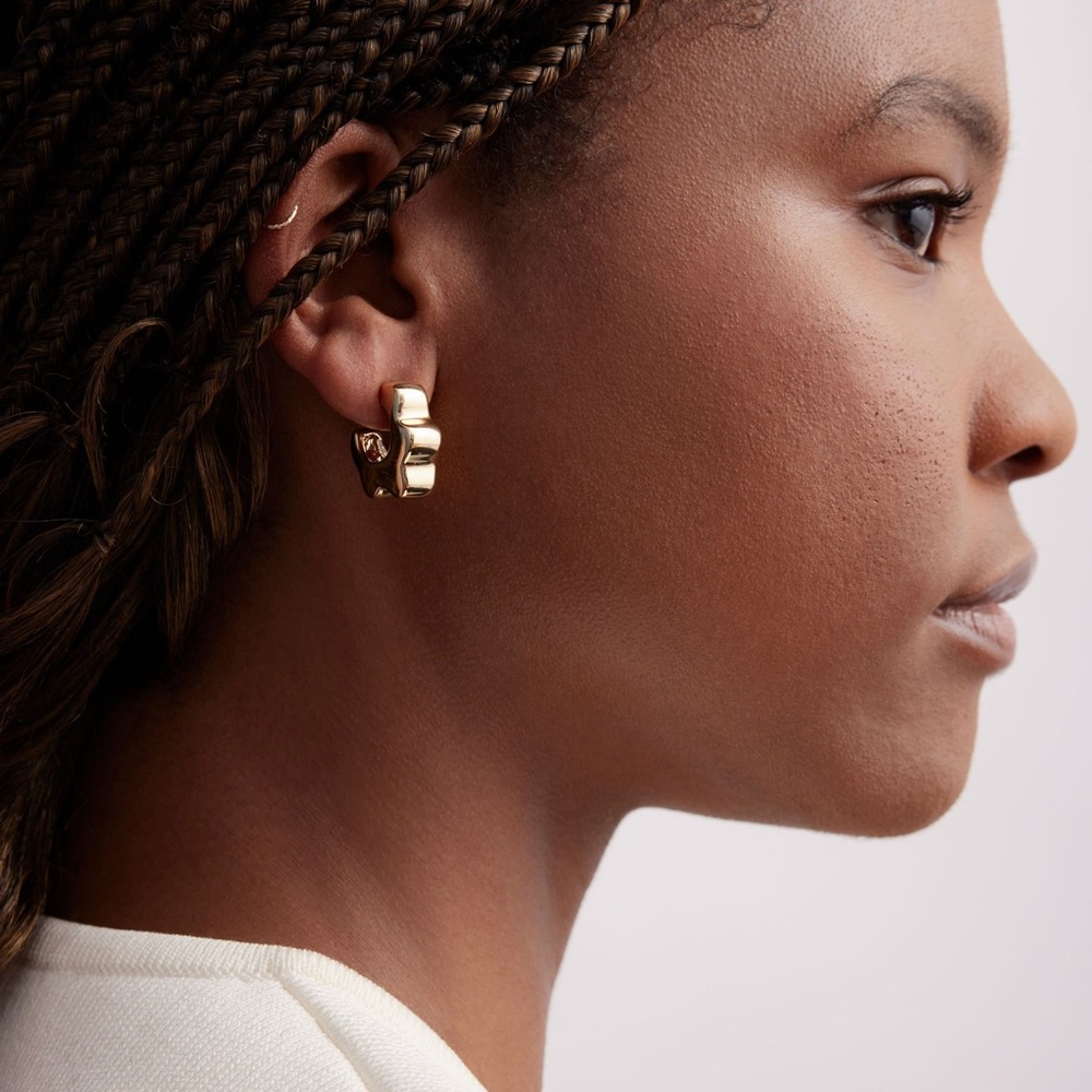 Mignonne Gavigan Hudson Hoops (2 pairs!)